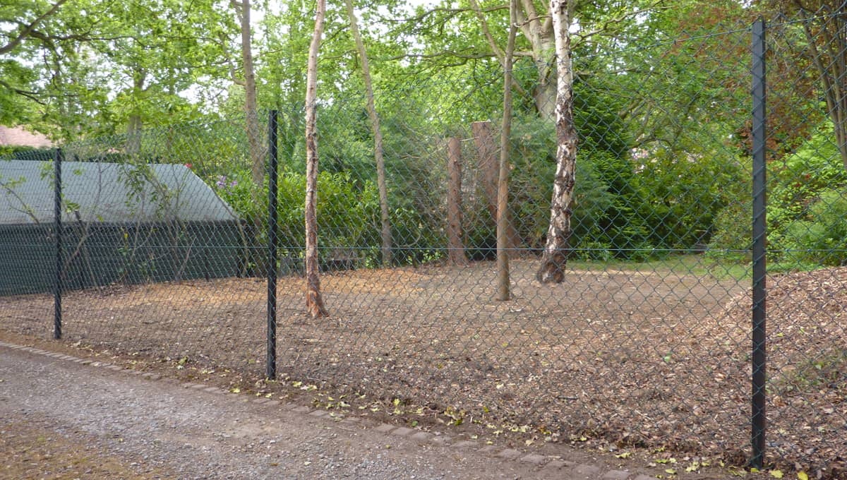 Chain Link Fencing