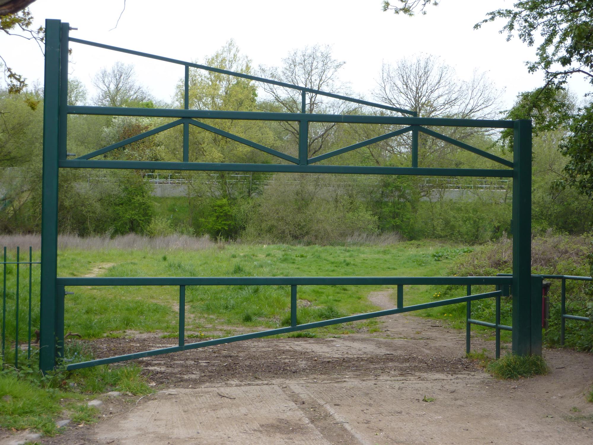Image 03